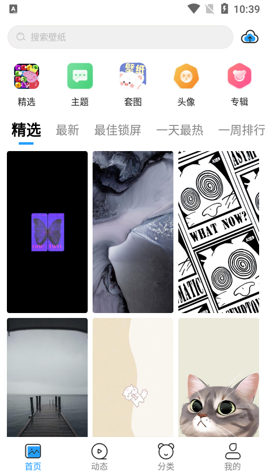 仙女壁纸app v1.0.0