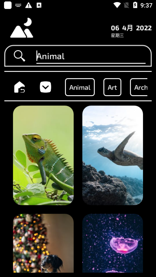 Wallio安卓无广告版 v1.0.2
