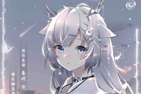 叮咚壁纸app下载安装