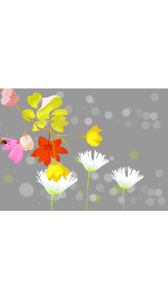 手机swf播放器官方 v2.2.0