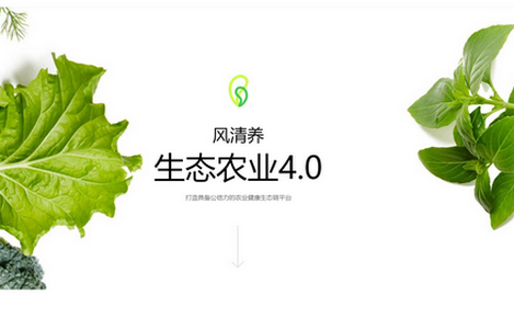 风清养APP 风清养APP