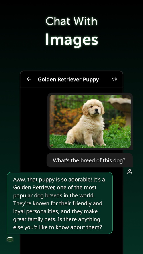 Max AI人工智能app手机最新版