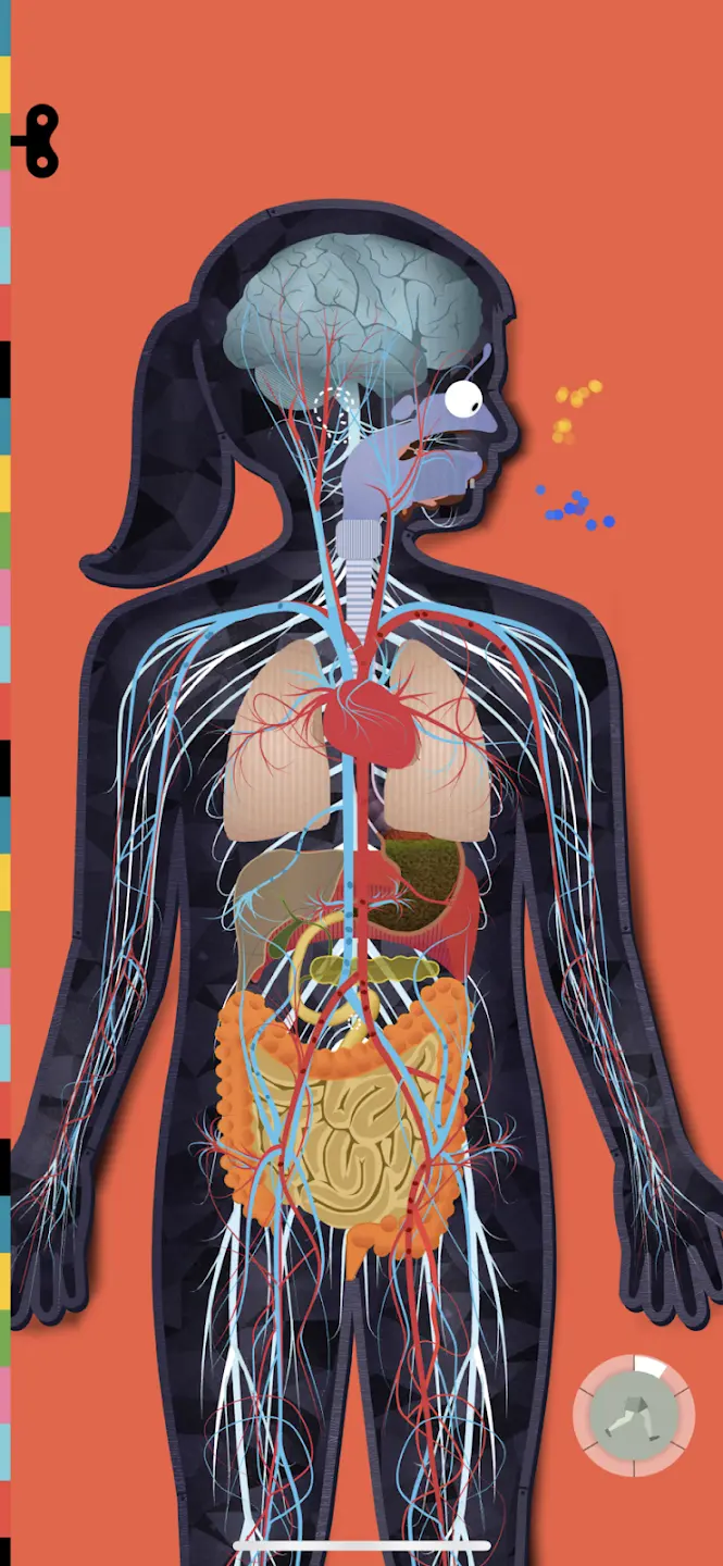 人体探秘最新版 v3.6.7