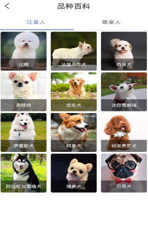 宠物知识全书app v1.0.0