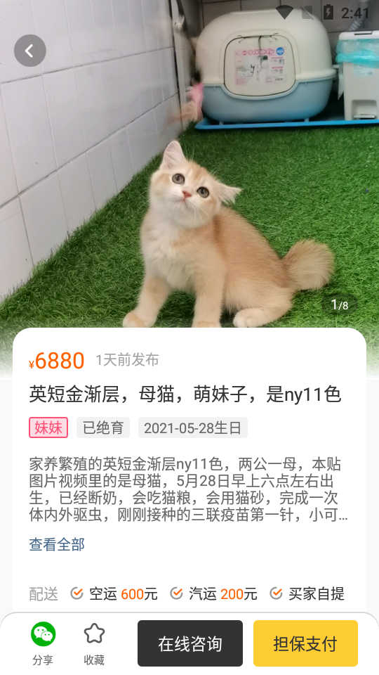 买只宠物APP软件 v1.1.0