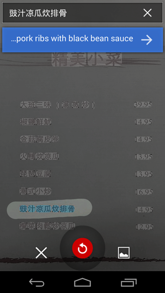 全屏翻译软件app v10.8.48.878519627.2