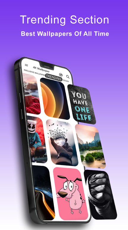 4k动态壁纸手机app v1.0.7