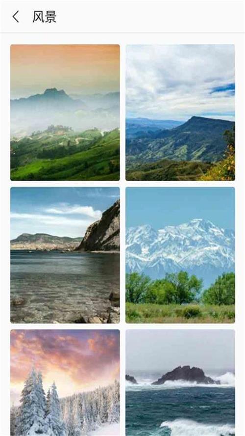 芒果壁纸app v3.3.6