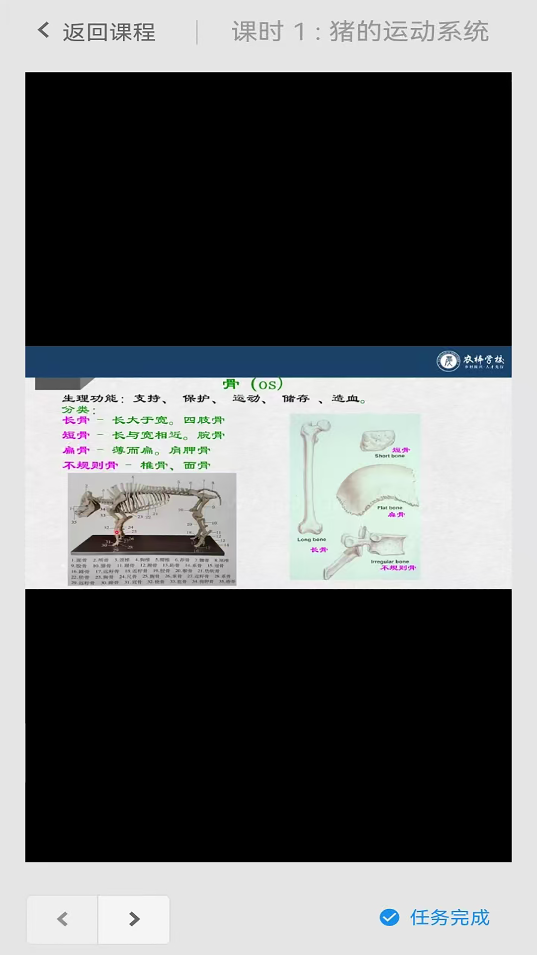 农梓学校app v1.0