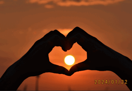 ProCCD复古相机app国际版