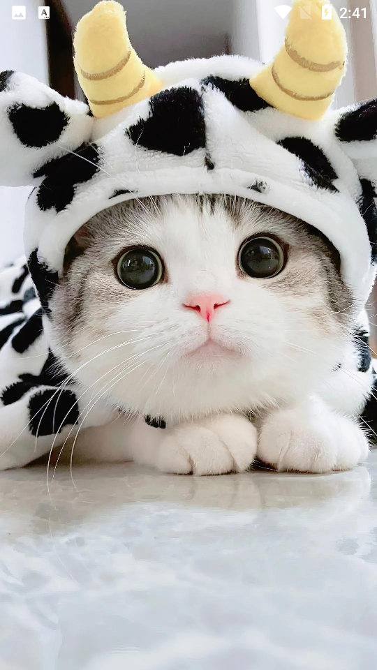 懂你找图可app软件 v1.0.0