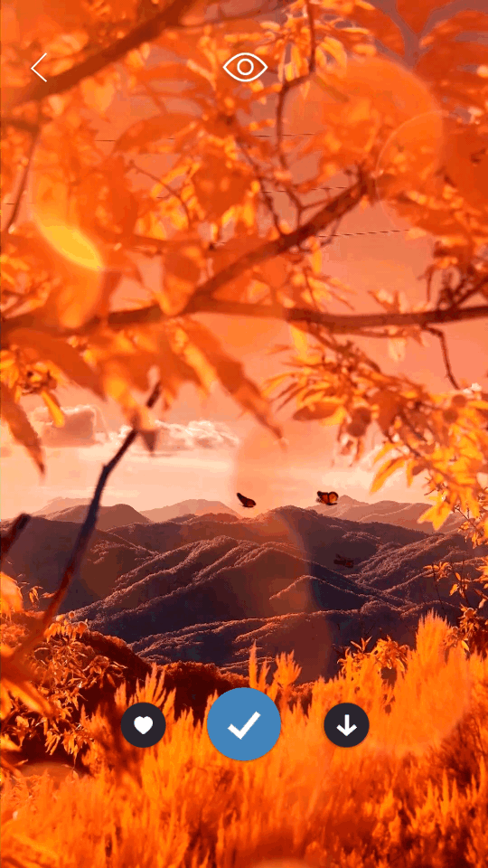 皮卡超级壁纸最新版本安卓 v1.4.8