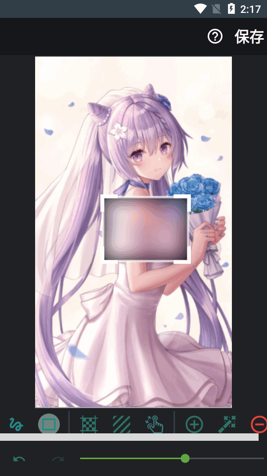 视频和图片打码软件 v4.9.5