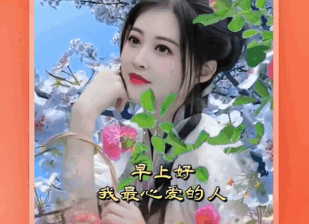 炫彩模板软件会员版