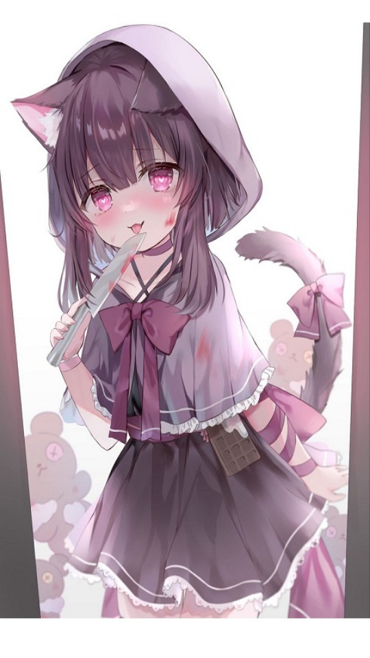 AcFuns动漫软件 v1.0.2