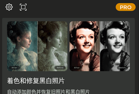Colorizer老照片修复app专业版 Colorizer老照片修复app专业版