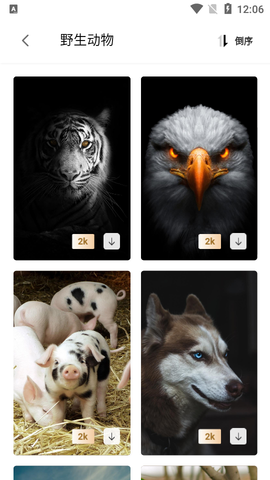 次元图库APP v1.0