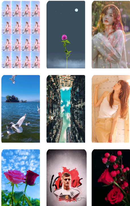 动态免费壁纸手机版