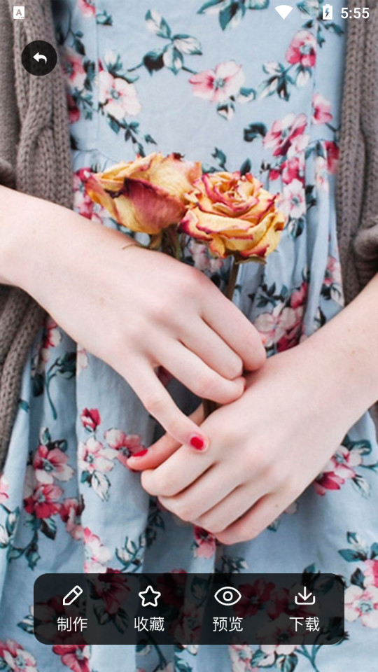 主题壁纸精选 v1.1