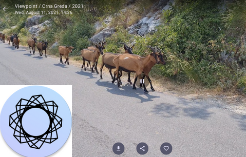 PhotoPrism画廊软件