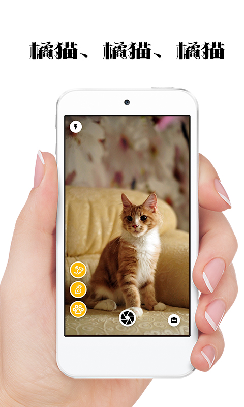 抖音极简猫咪相机 v1.0.5