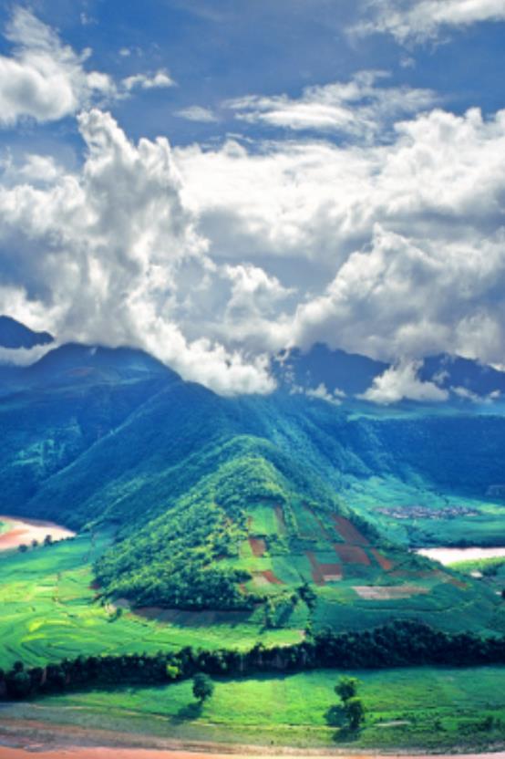 大美新平官方版 3.7.2安卓版 v3.7.2