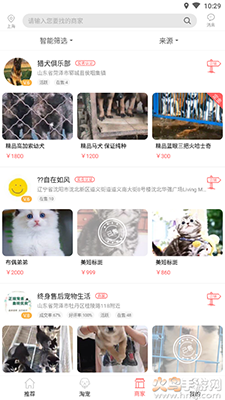 淘宠网app宠物猫狗交易平台 v3.3.10