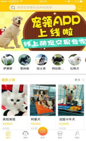 宠领app v2.0