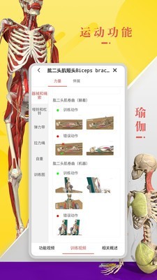3DBody解剖 8.2版 v8.8.41
