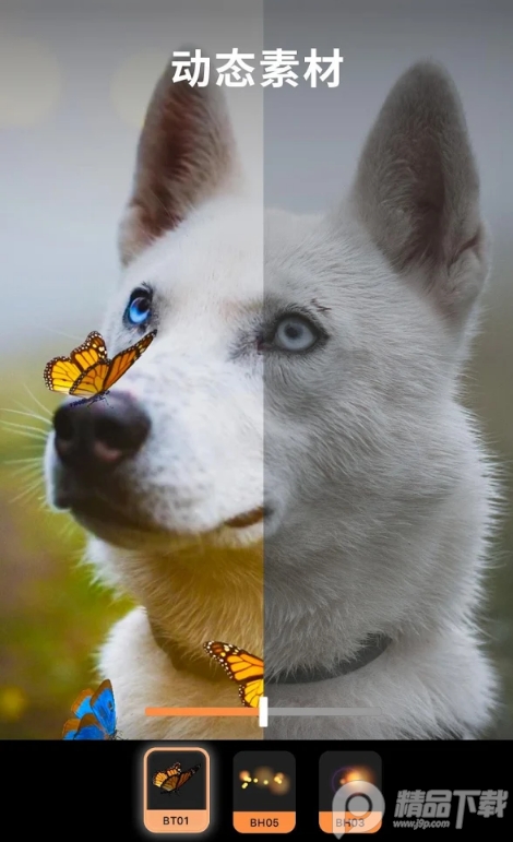 Motionleap官方版 v1.6.1