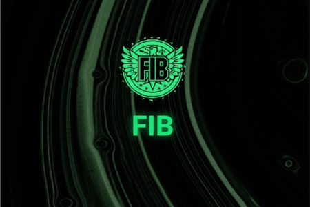 离子计划FIB手机版 离子计划FIB手机版