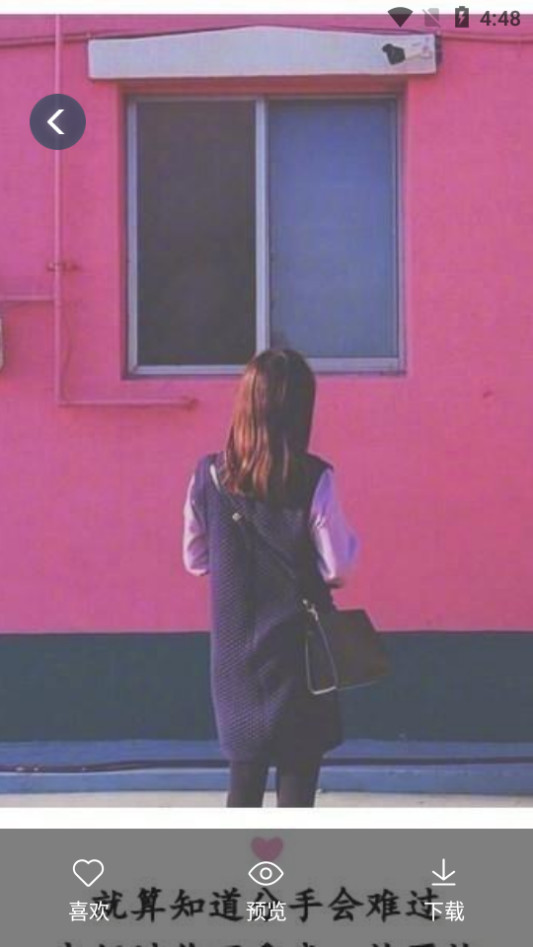 全局透明主题壁纸 v1.1