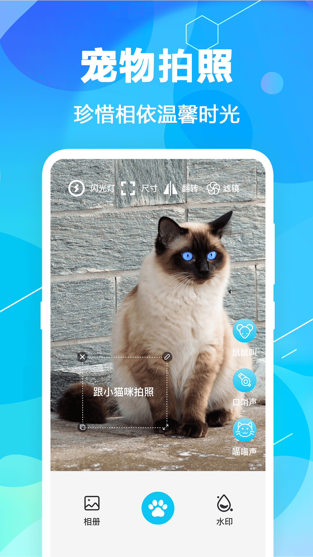 猫语翻译pet安卓版 v7.1.7136