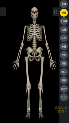 3DBody解剖 v8.8.41