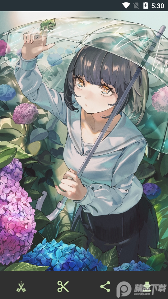 WallHaven手机中文版 v6.6.6