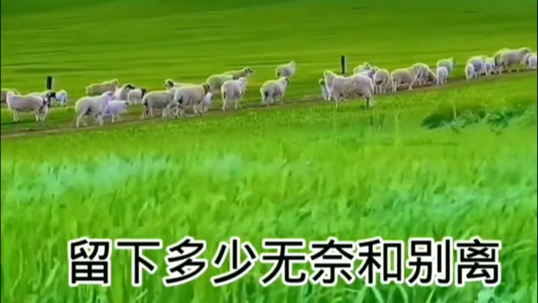 微众TV电视直播软件 v1.2