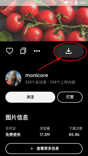 Pexels视频素材app最新版 Pexels视频素材app最新版