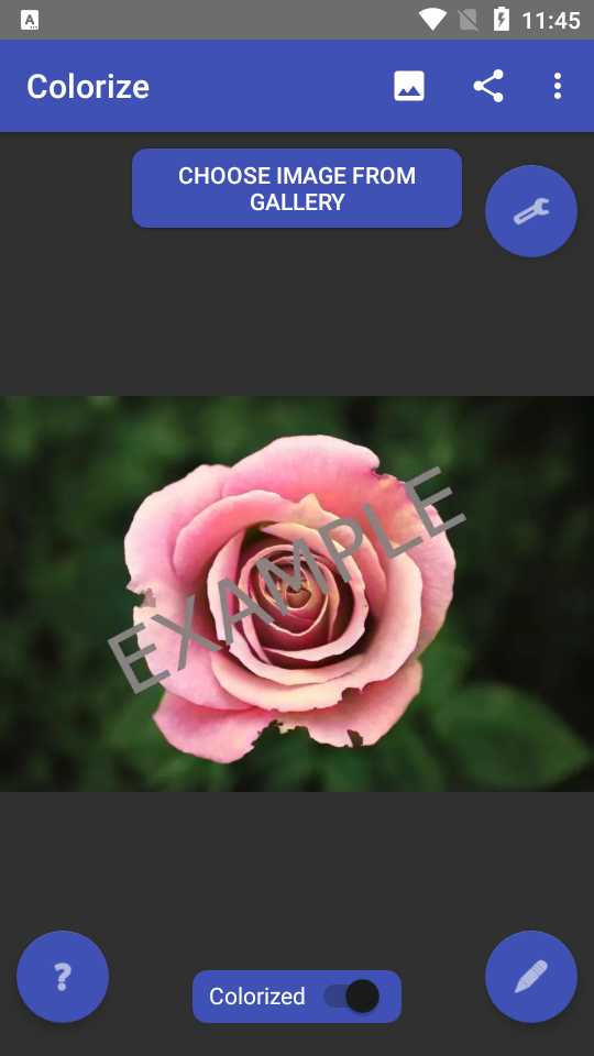 Colorize上色软件免费版 v4.0.73