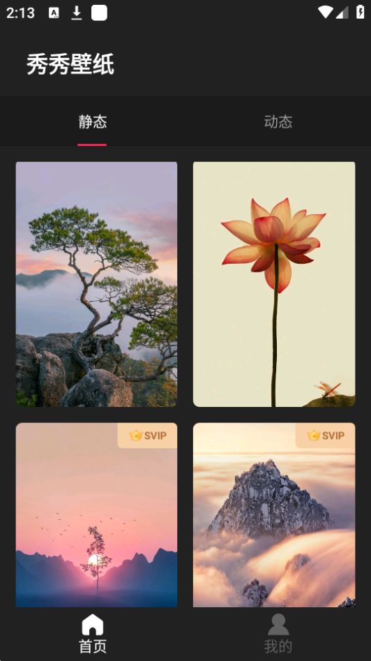 秀秀壁纸安卓最新版 v1.0.0