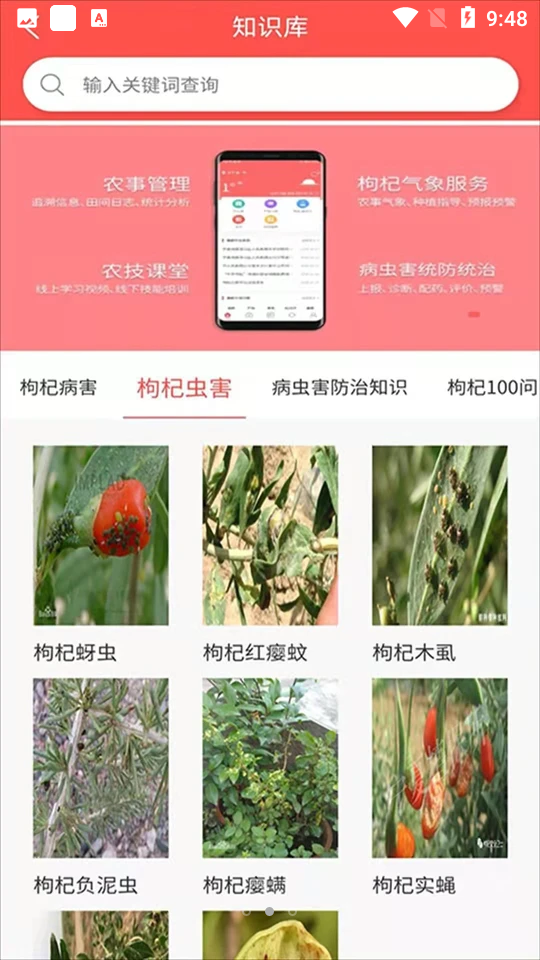 枸杞掌中宝APP 枸杞掌中宝APP