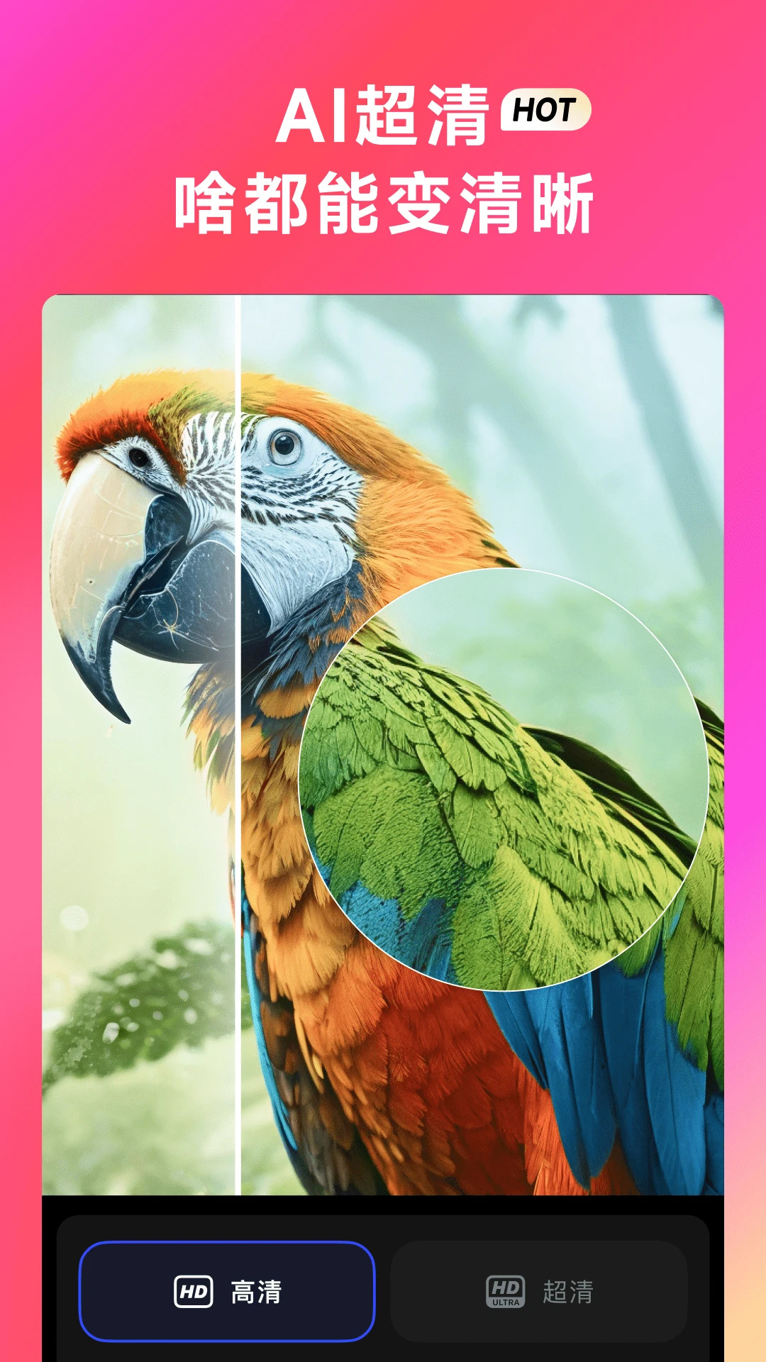 whee2.7.4app下载 2.7.4