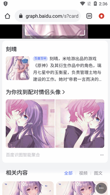 按图搜索app(Get Sauce)