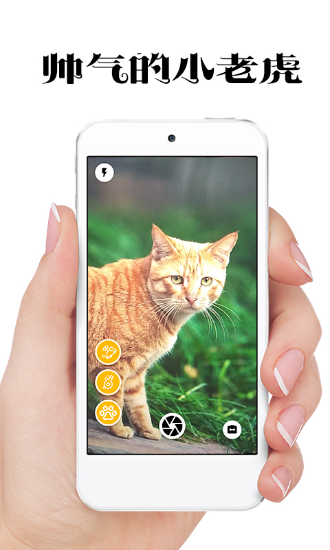 抖音极简猫咪相机 v1.0.5