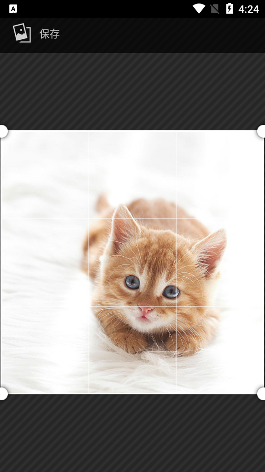 掌上装裱工APP v1.1.6