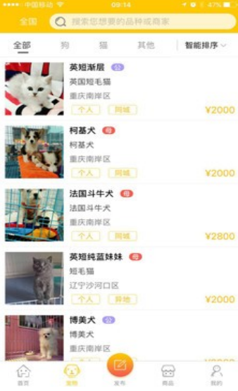 宠领app v2.0
