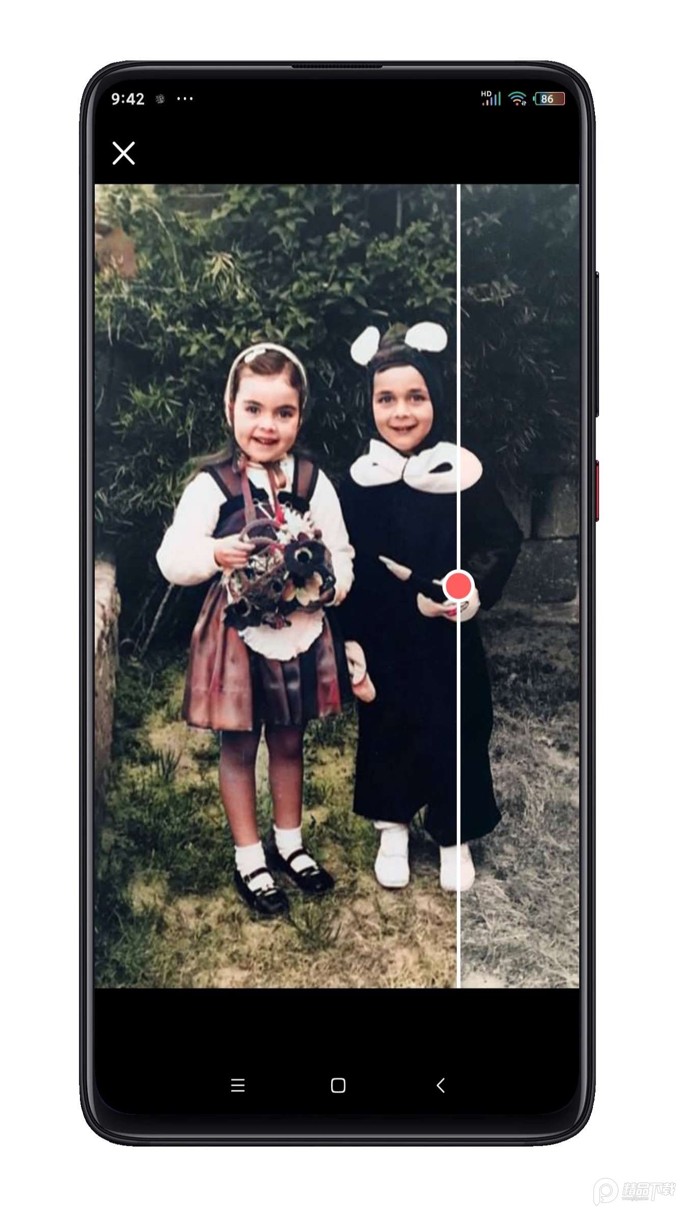 colorize上色软件专业版 v3.2