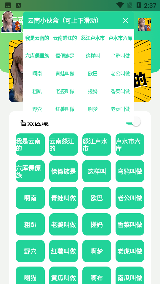 云南小伙盒自制版 v1.0