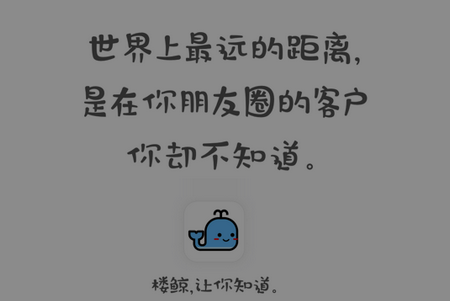 楼鲸APP 楼鲸APP