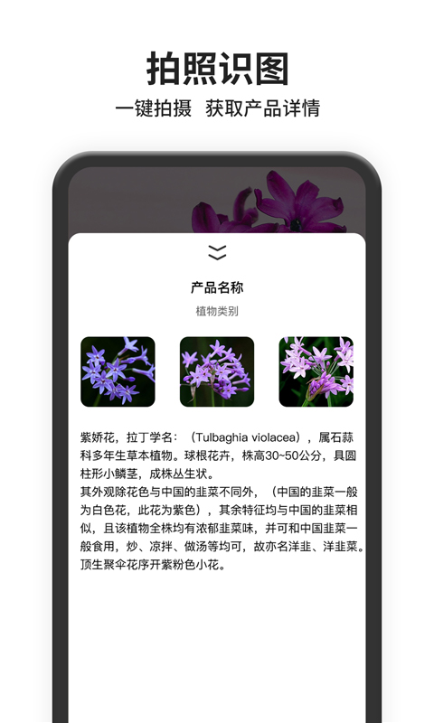 以图搜图app v1.0.0