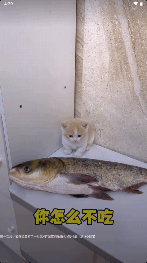 抖音共存版去水印 v88.8.8